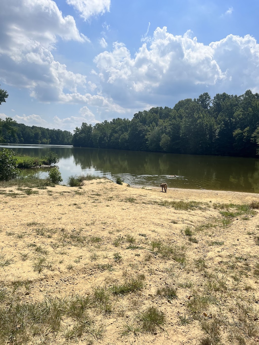 Lums Pond Off-Leash Dog Area