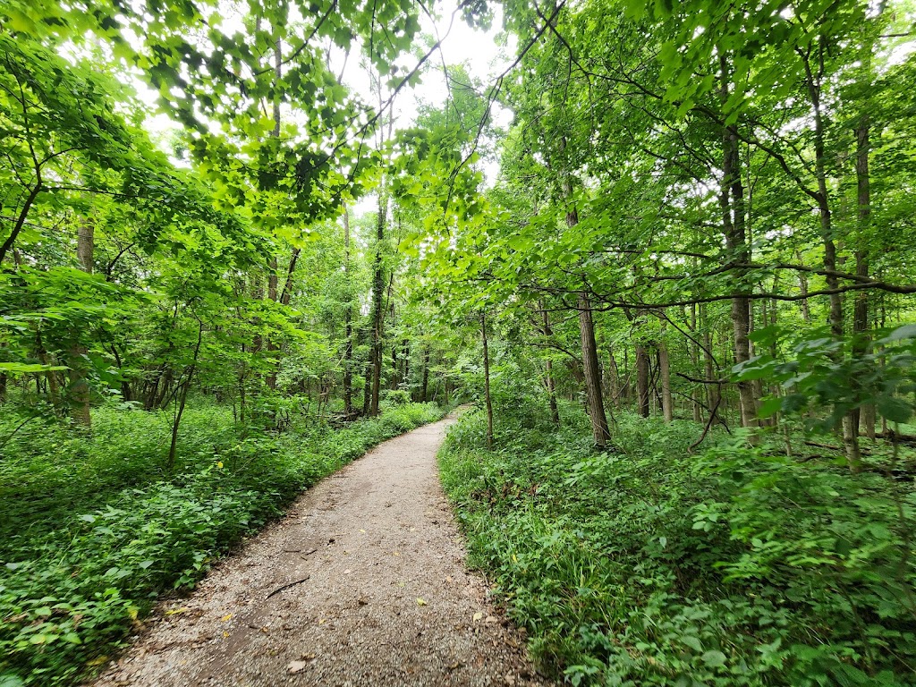 Ritchey Woods Nature Preserve