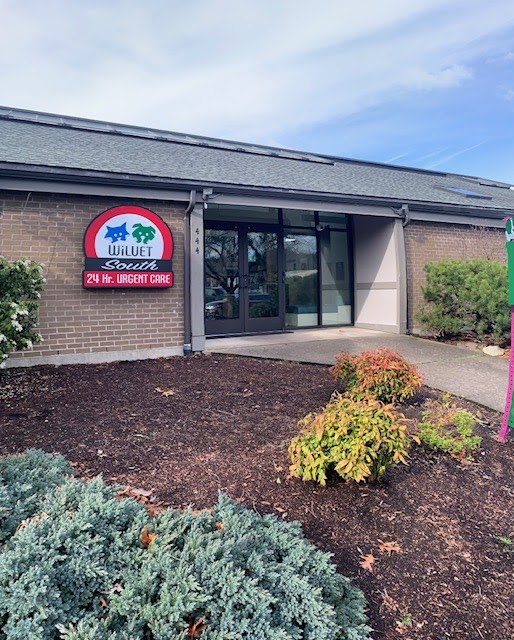 Willamette Animal Emergency Center