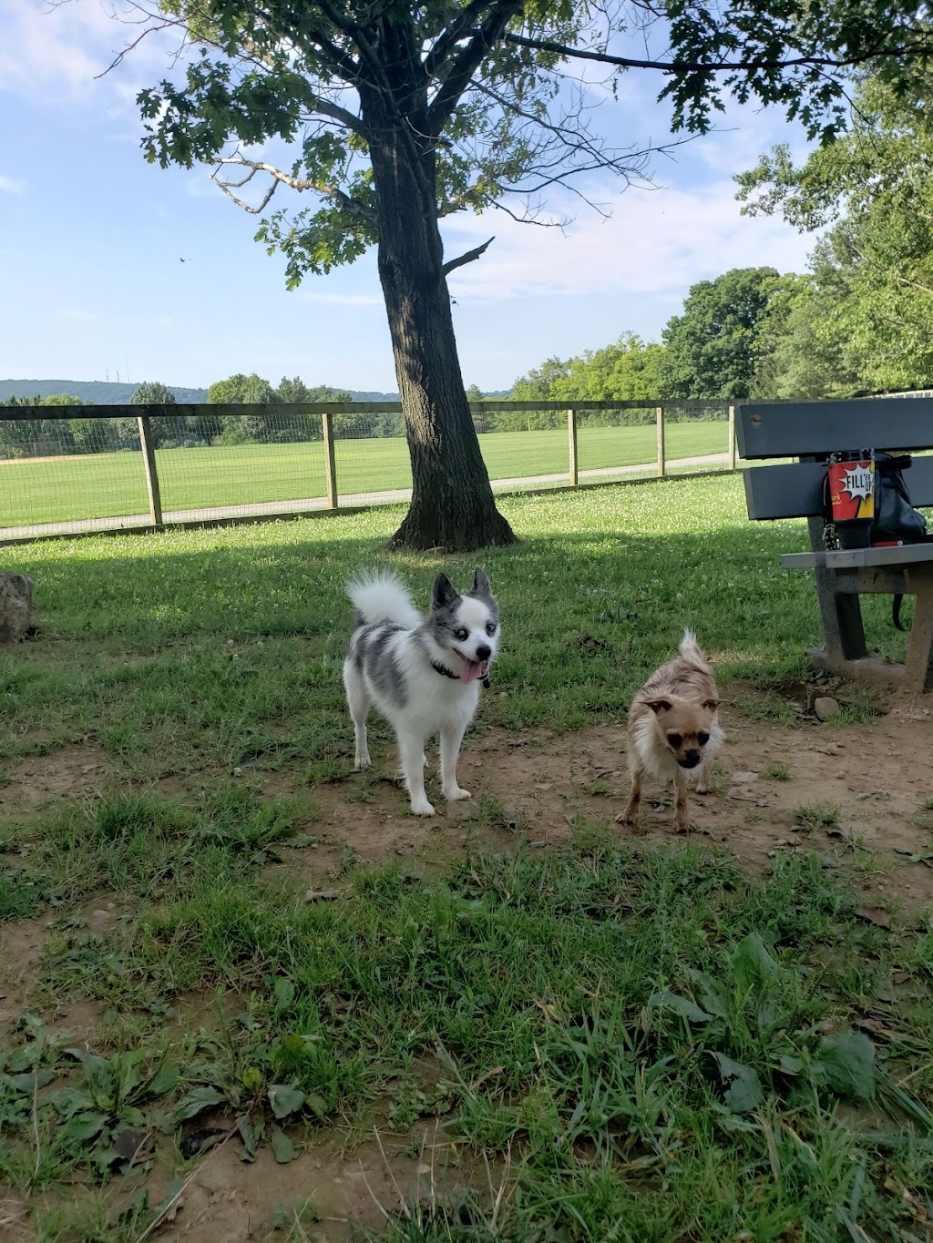 Canine Meadows at John Rudy Park