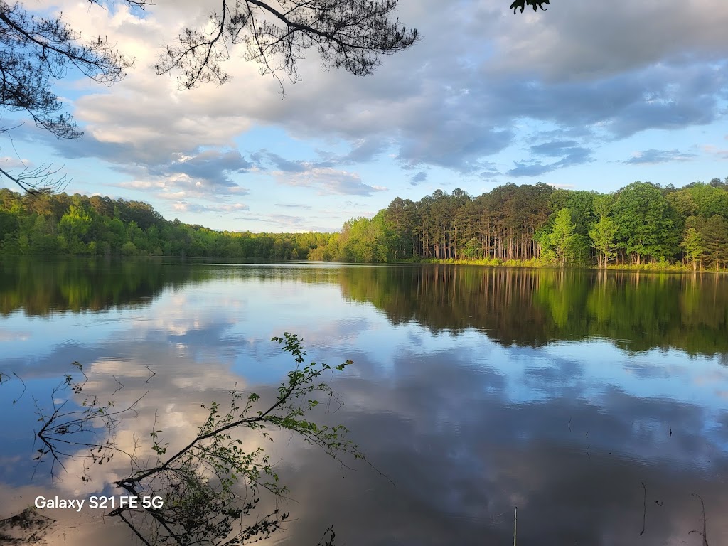 Holly Springs National Forest