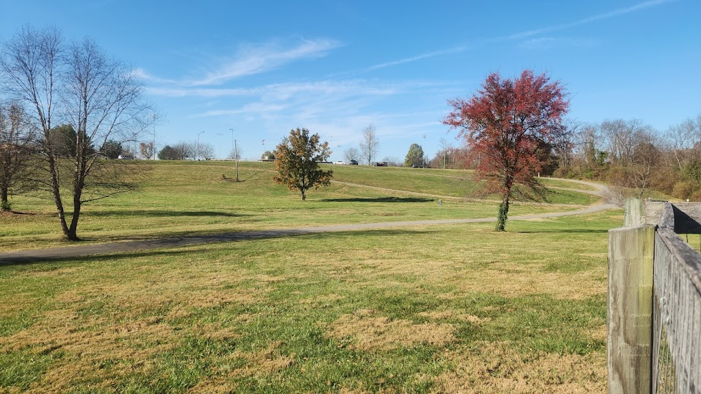 Lakeview Park Dog Park