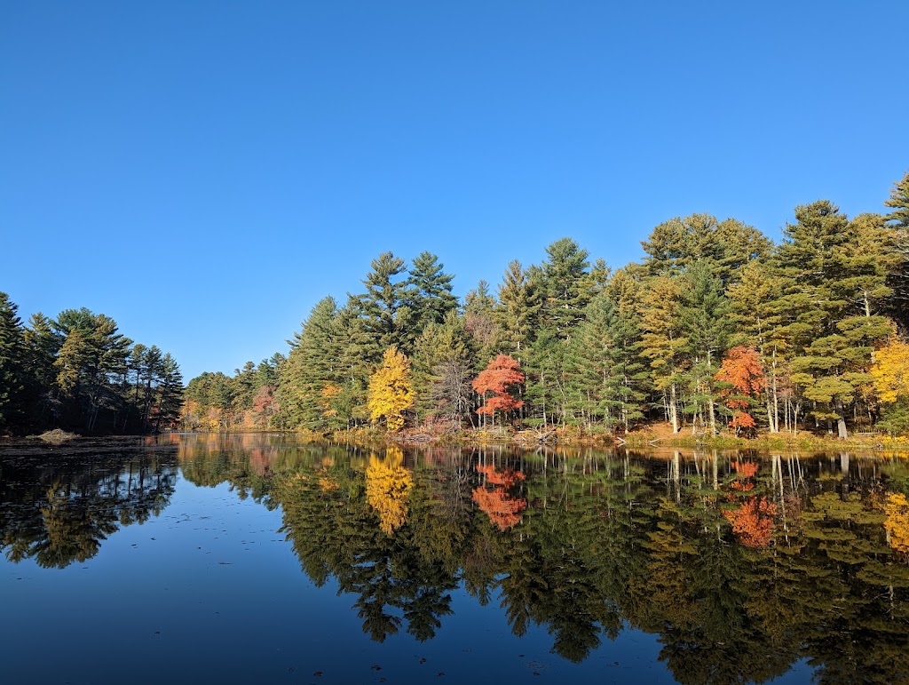 Pulaski Memorial State Forest