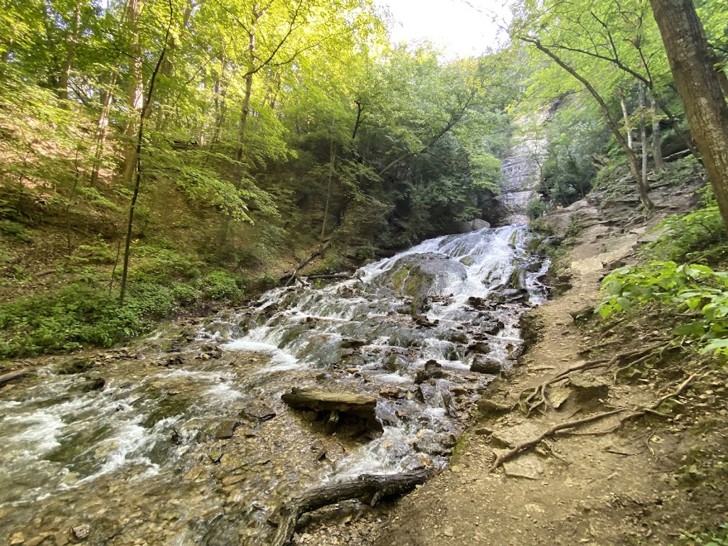 Dunning's Spring Park