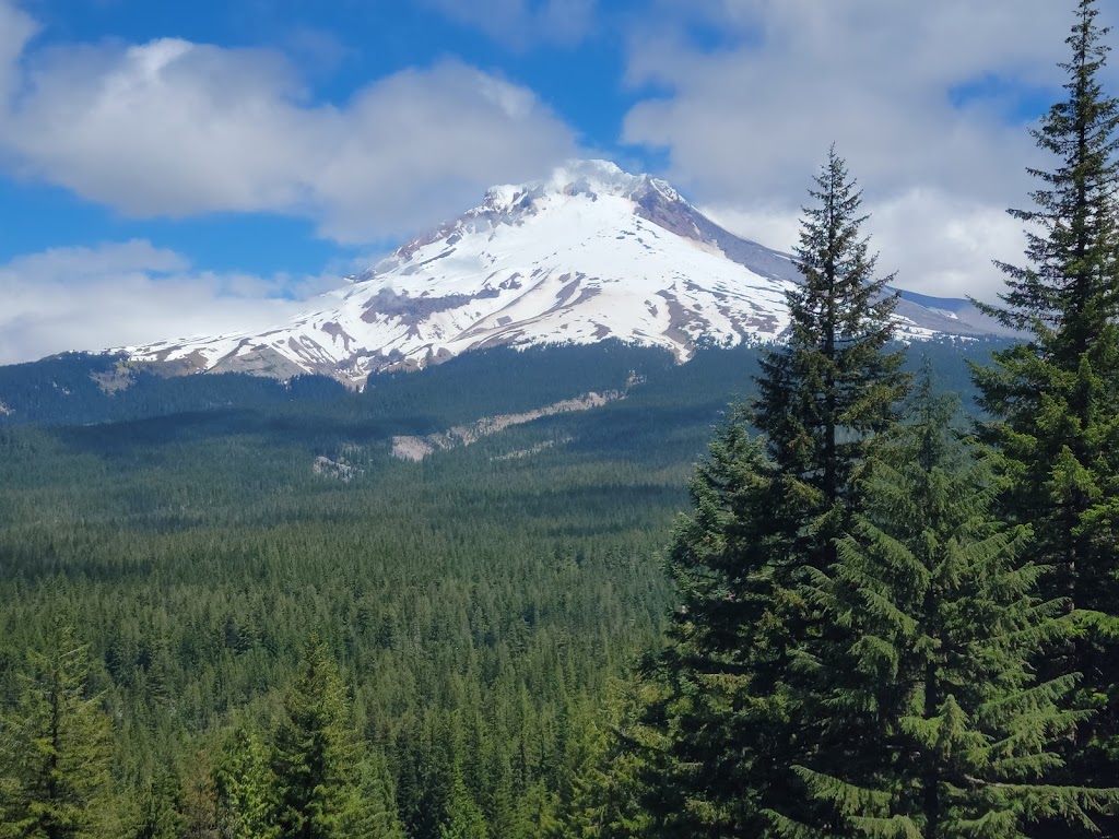 Mt Hood National Forest