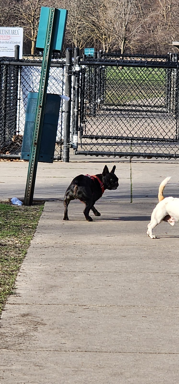 Spencer Park Bark Park