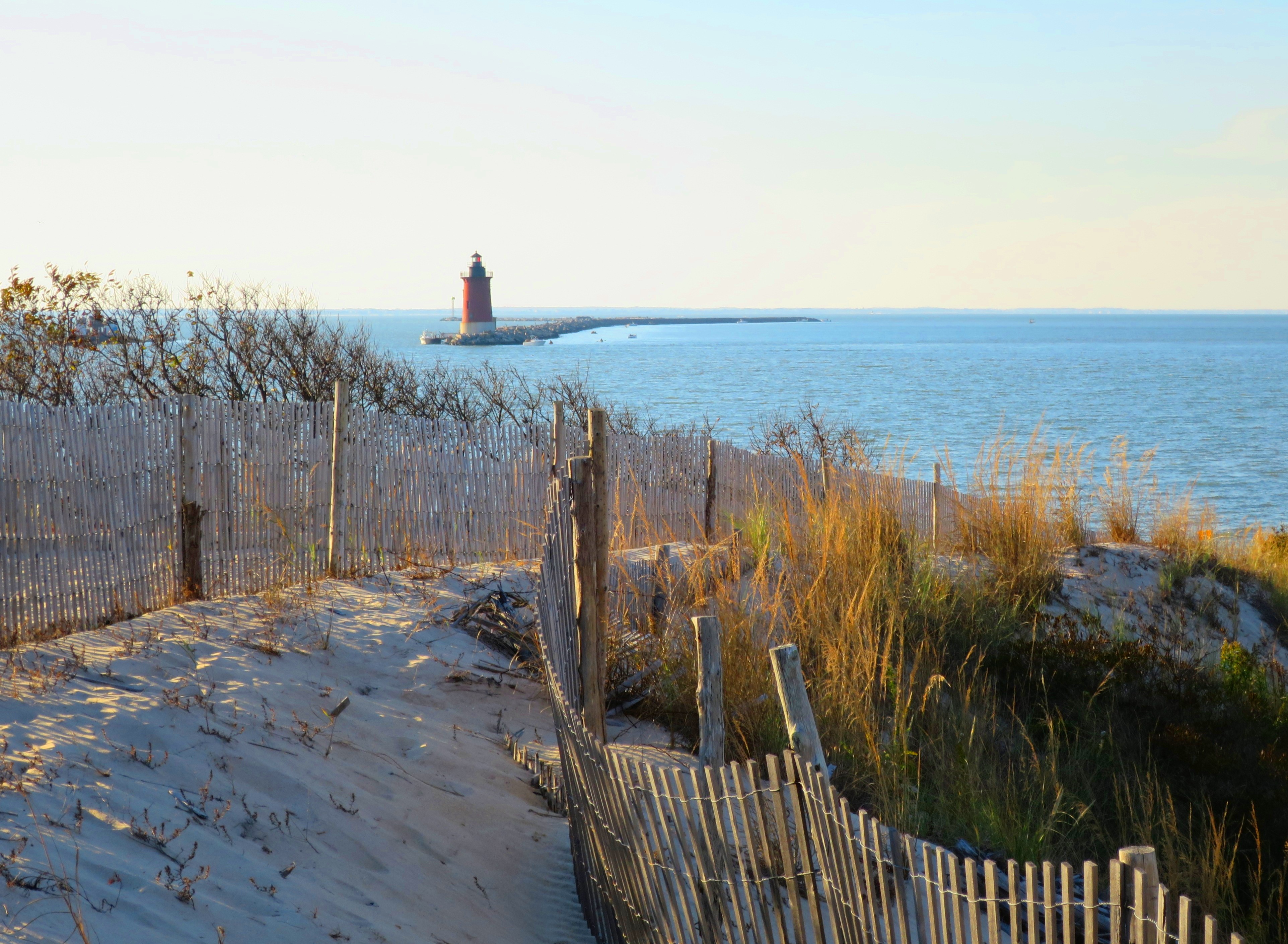 Cape Henlopen State Park, Lewes