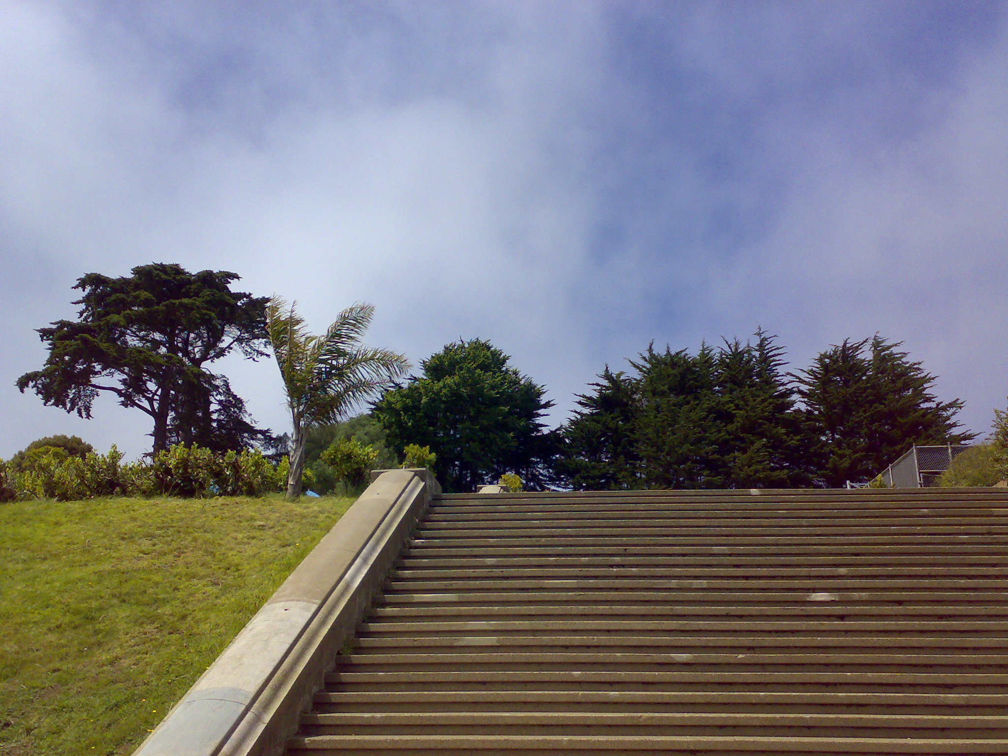 Alta Plaza Dog Play Area