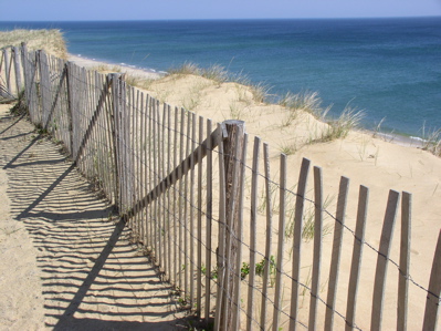 Cape Cod National Seashore, Wellfleet