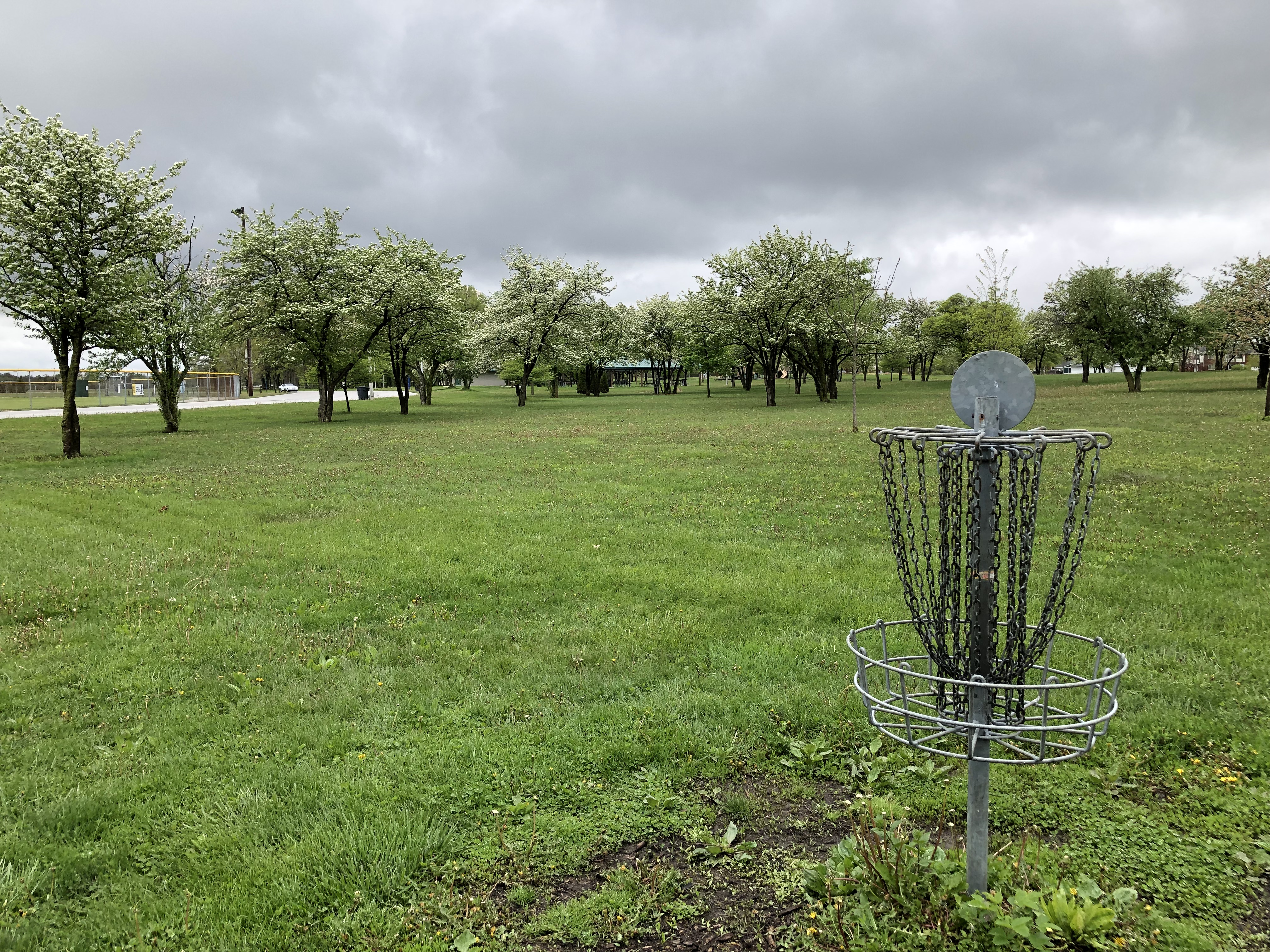 Carter Park
