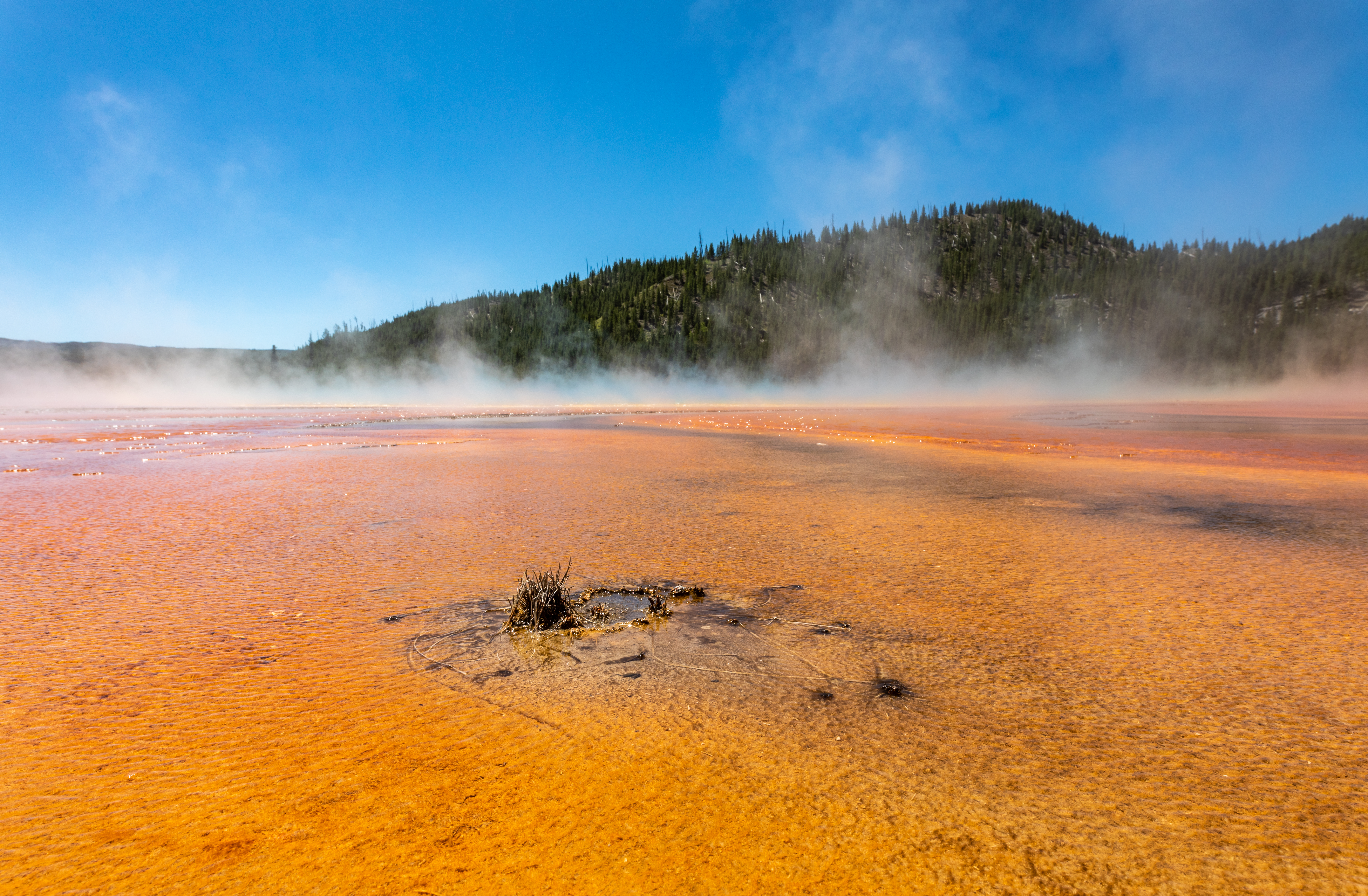 Yellowstone National Park