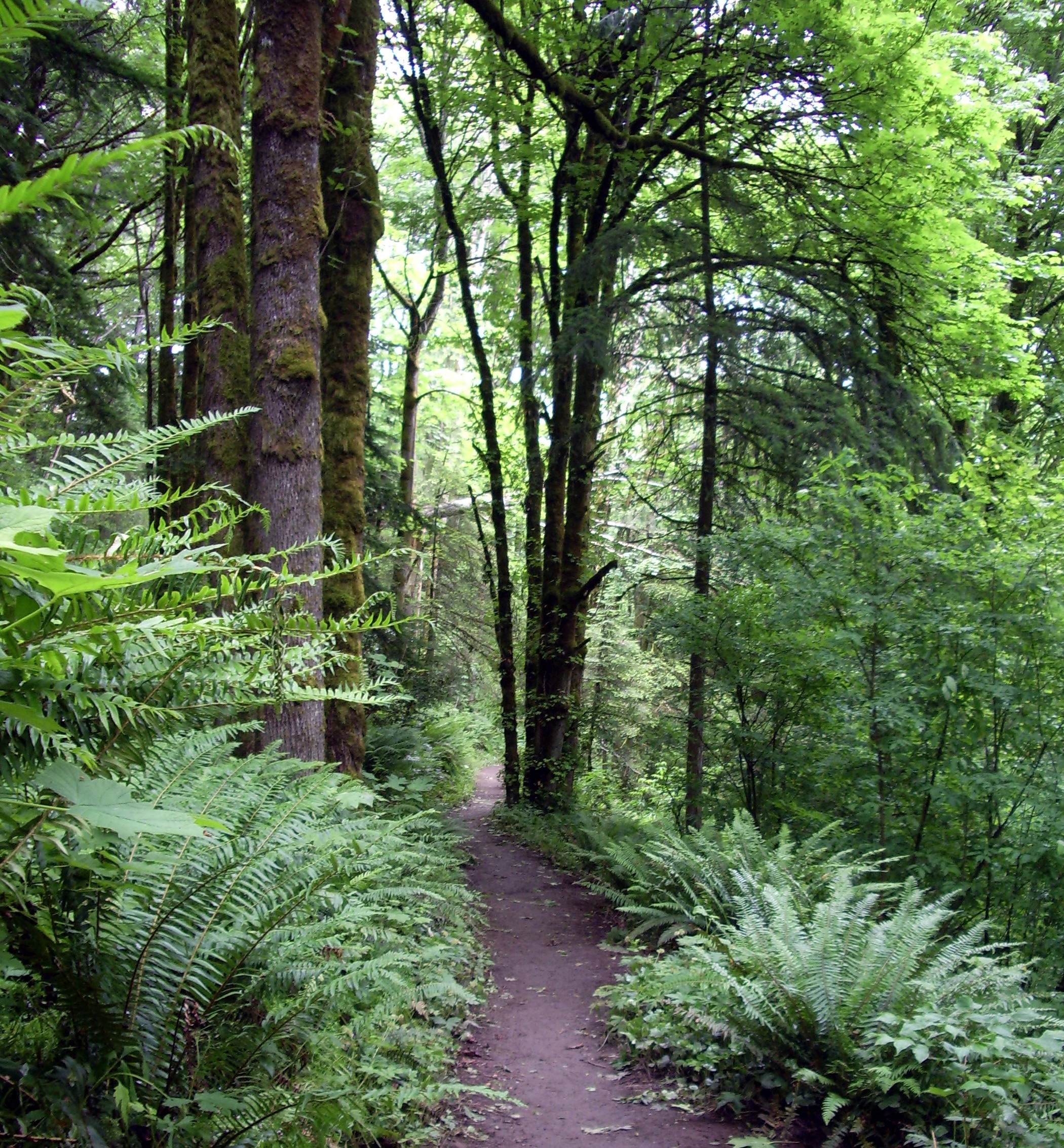 Forest Park, Portland
