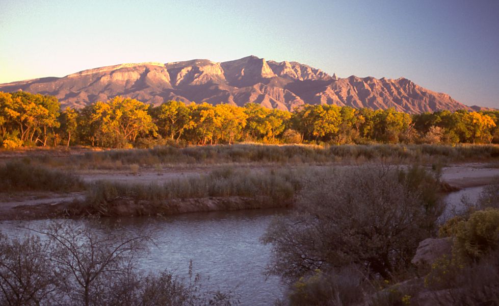 Bear Canyon Arroyo Dog Park