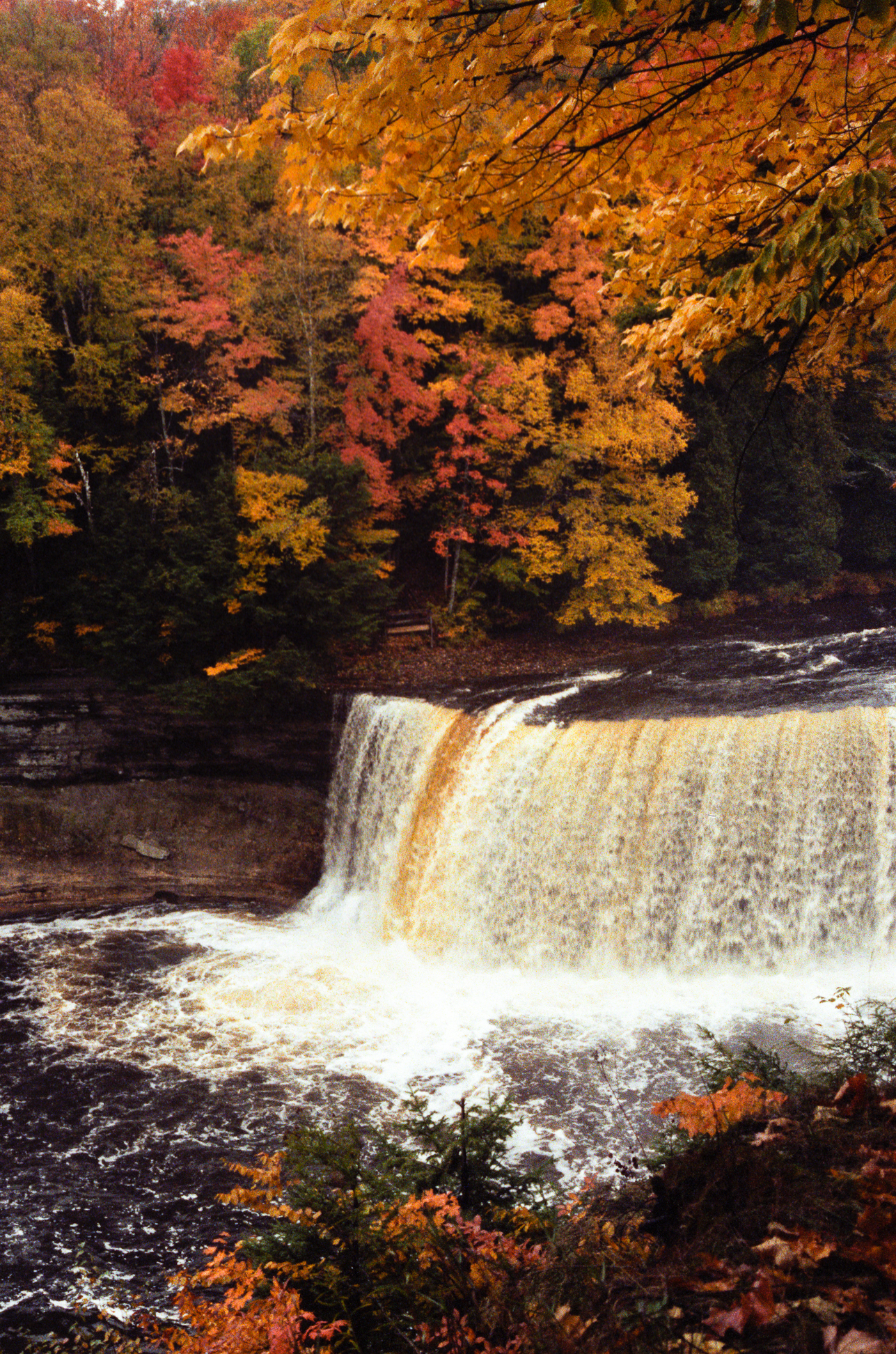 Tahquamenon Falls State Park, Paradise