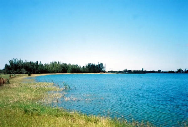 Amelia Earhart Park (Bark Park)