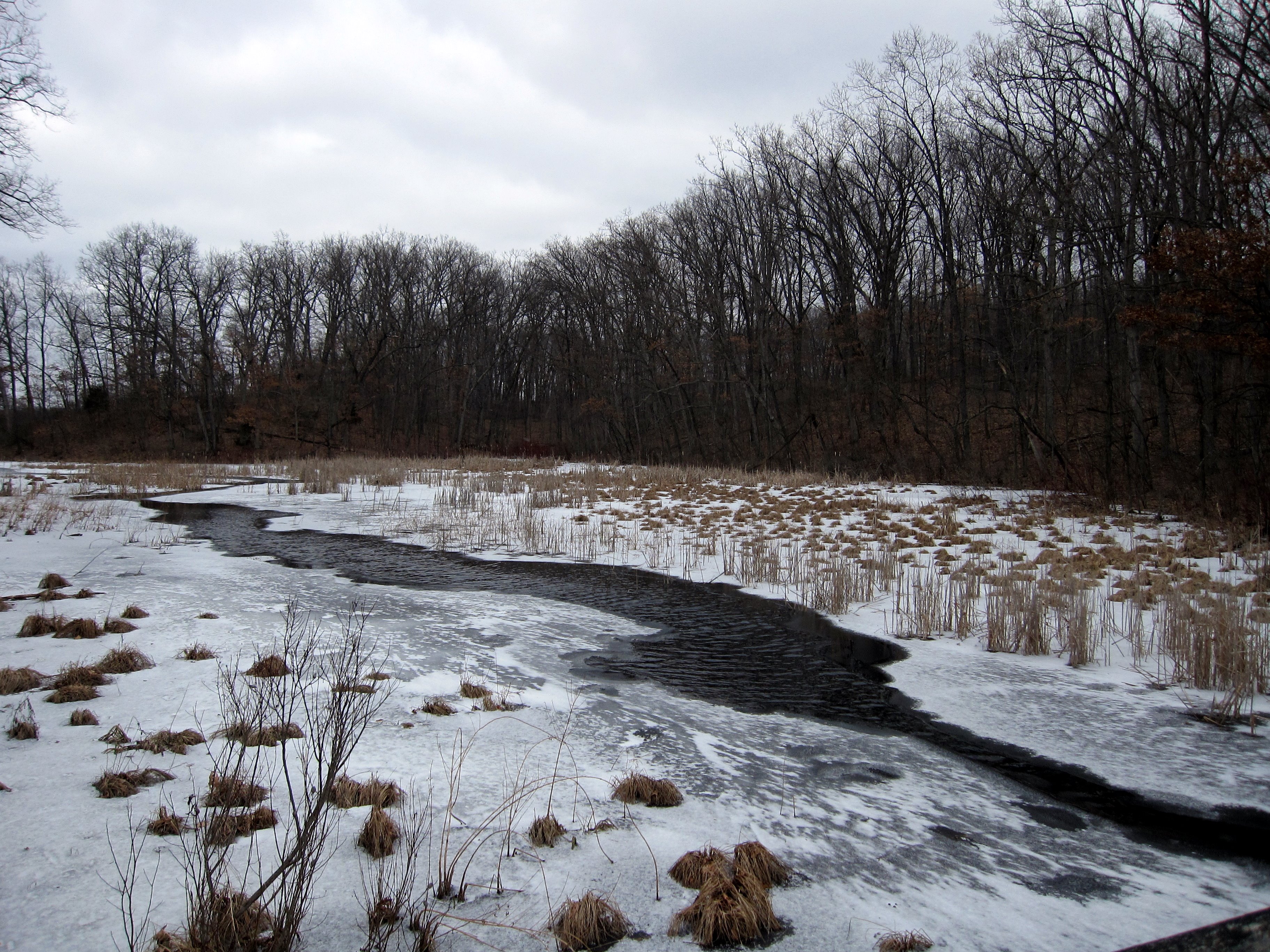 Pinckney Recreation Area