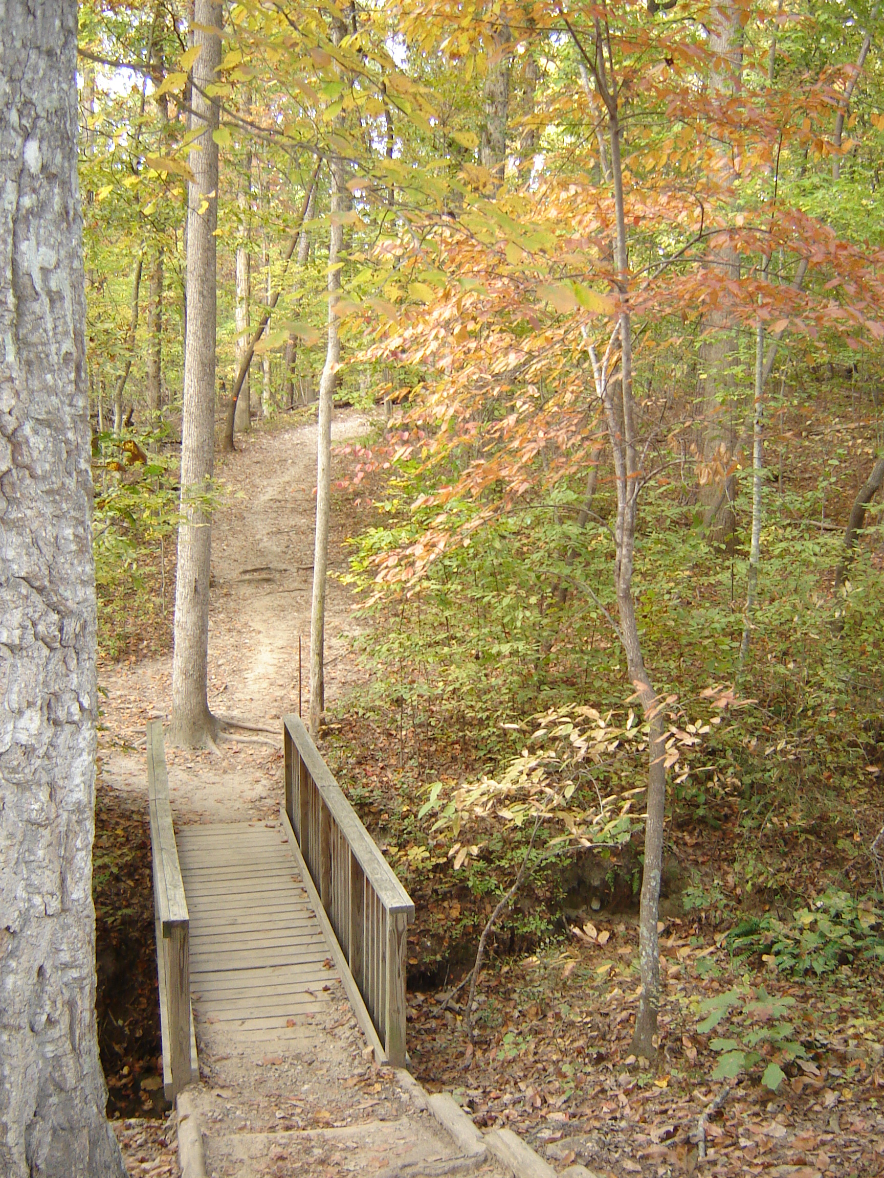 William B. Umstead State Park, Raleigh