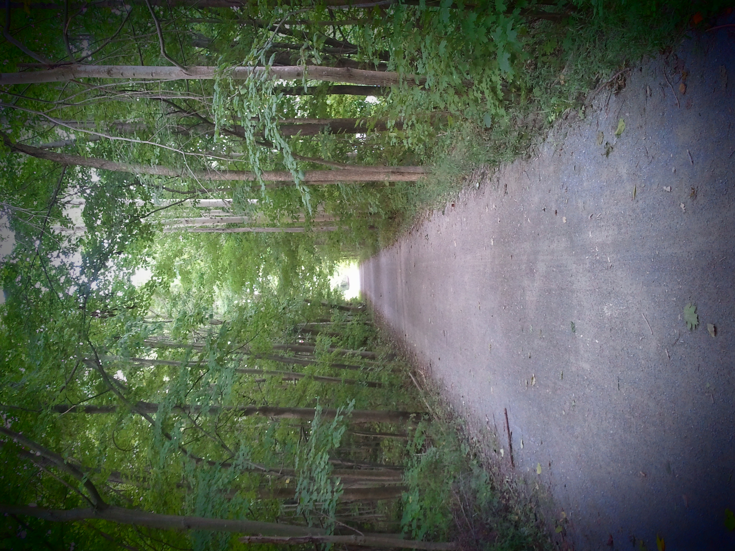Kal-Haven Trail State Park