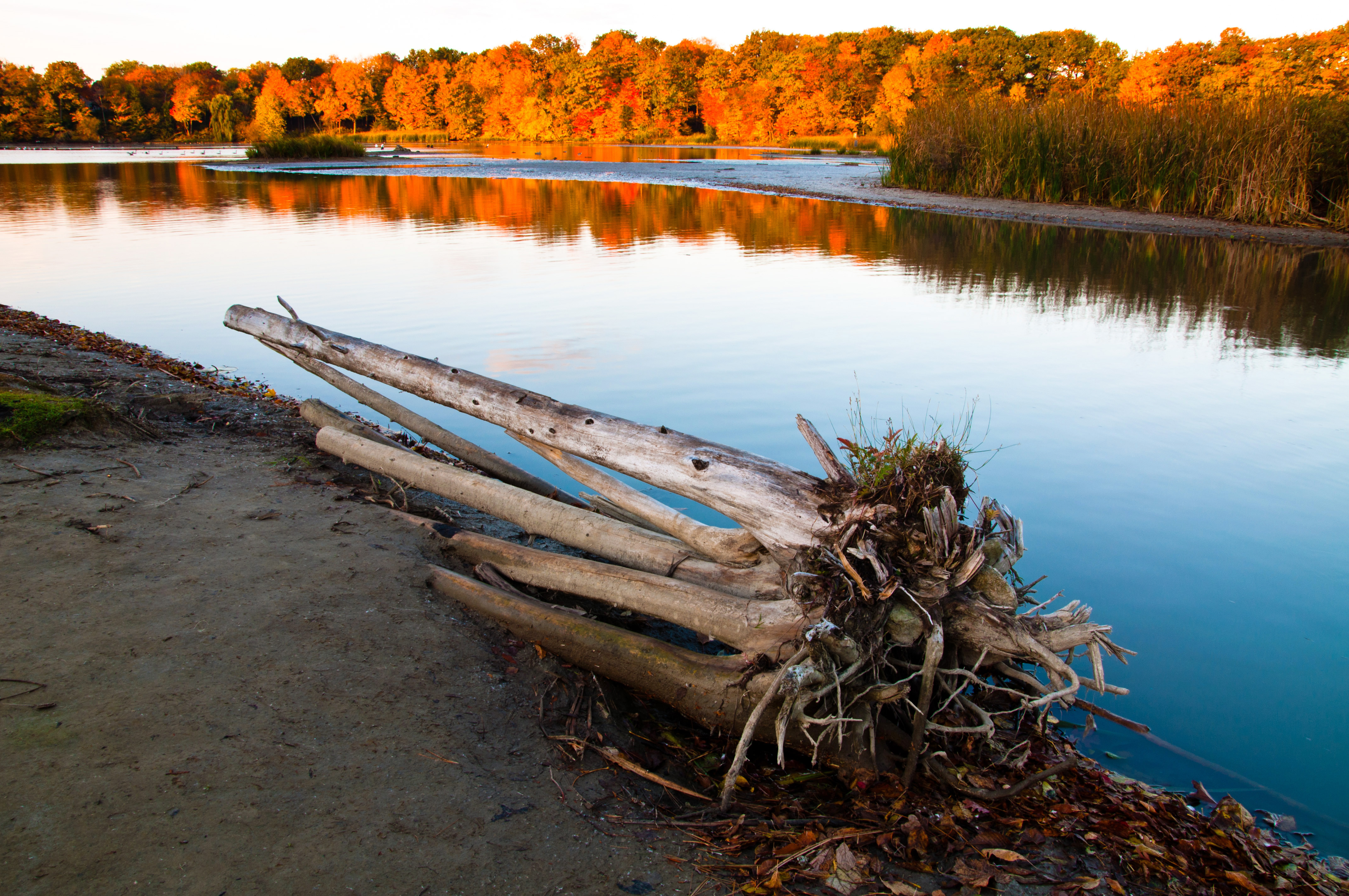 Rouge Park