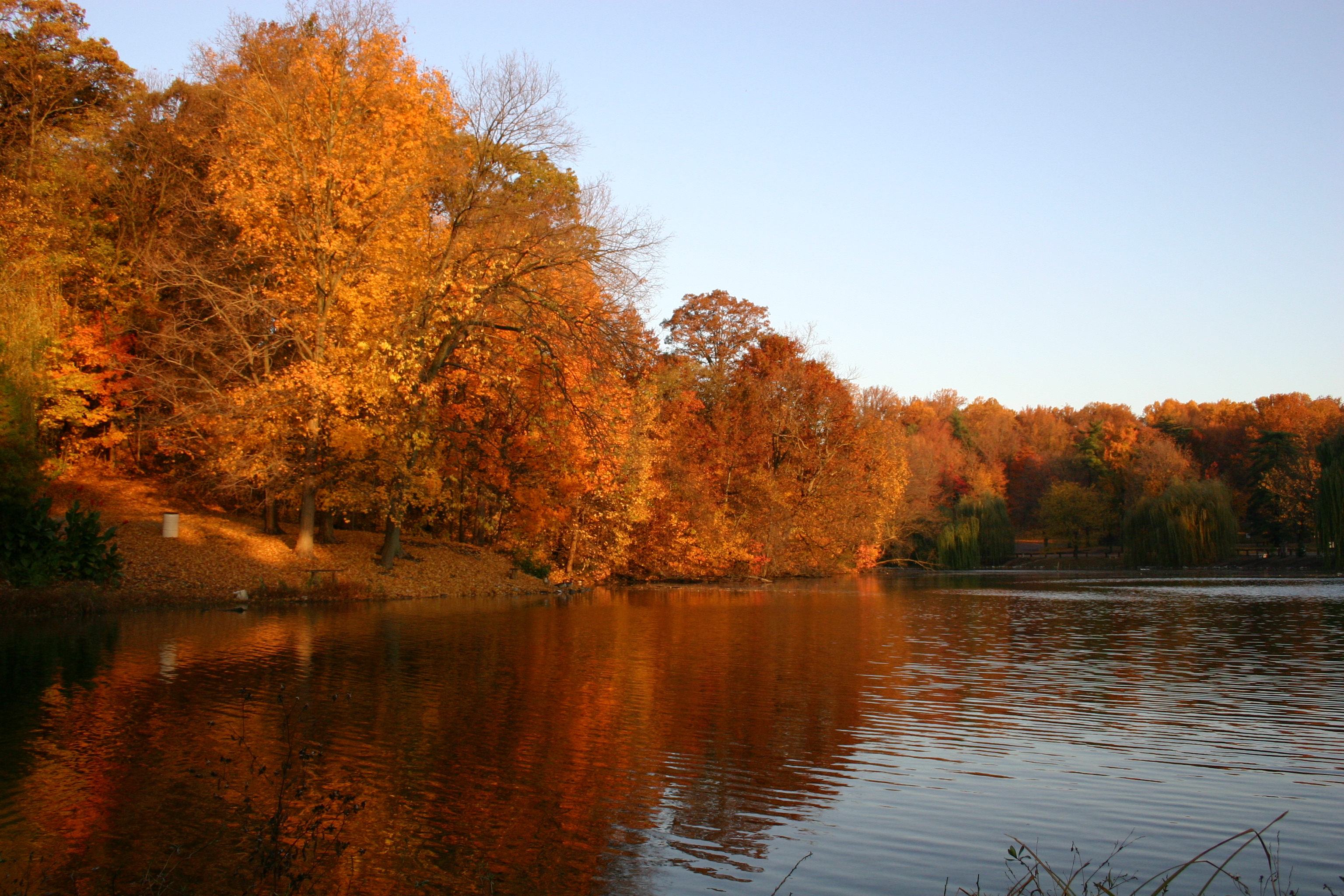 Burdette Park