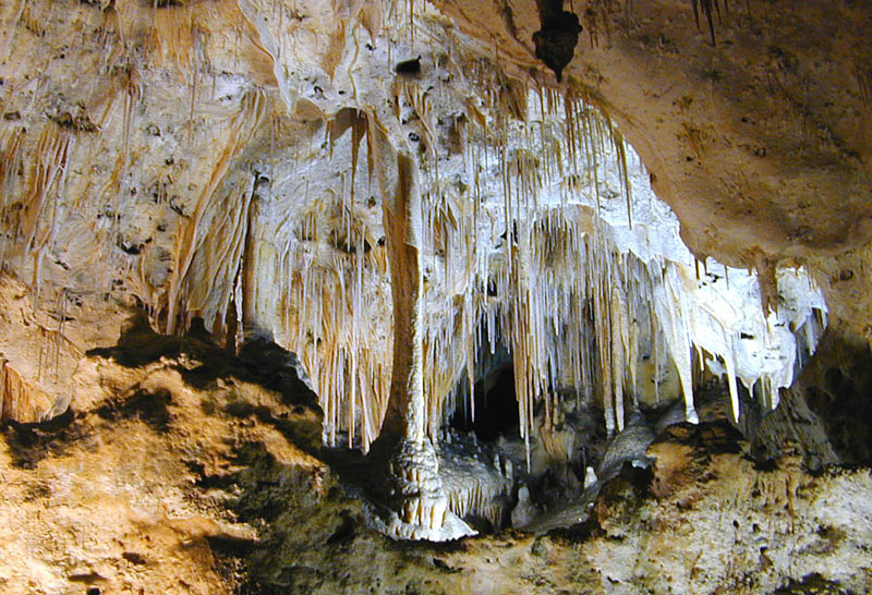 Carlsbad Caverns National Park (Surface Pet Areas)
