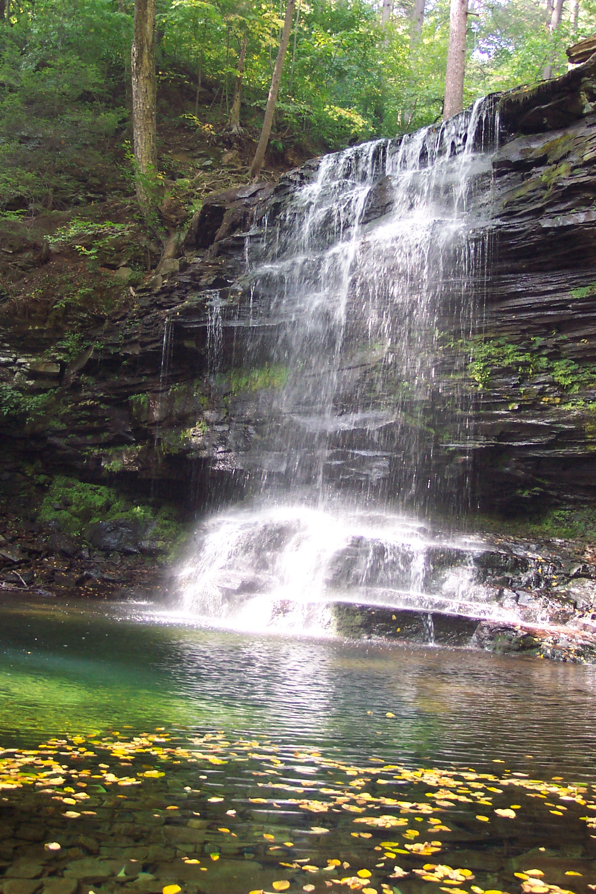 Ricketts Glen State Park, Benton