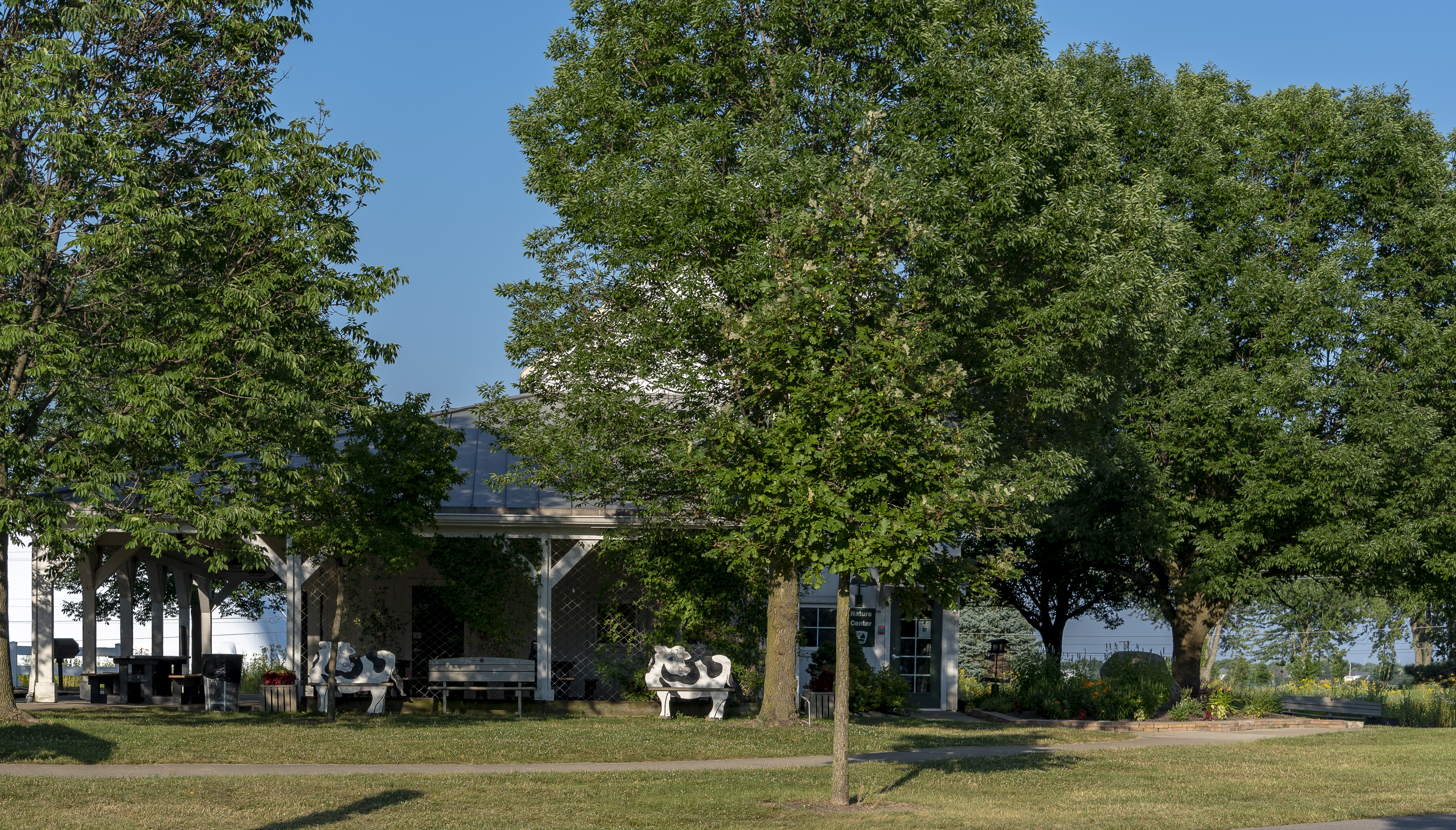 Homestead Metro Park Dog Park