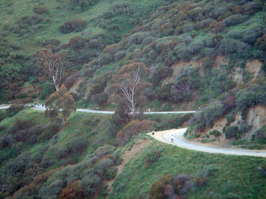 Runyon Canyon Off-Leash Trail