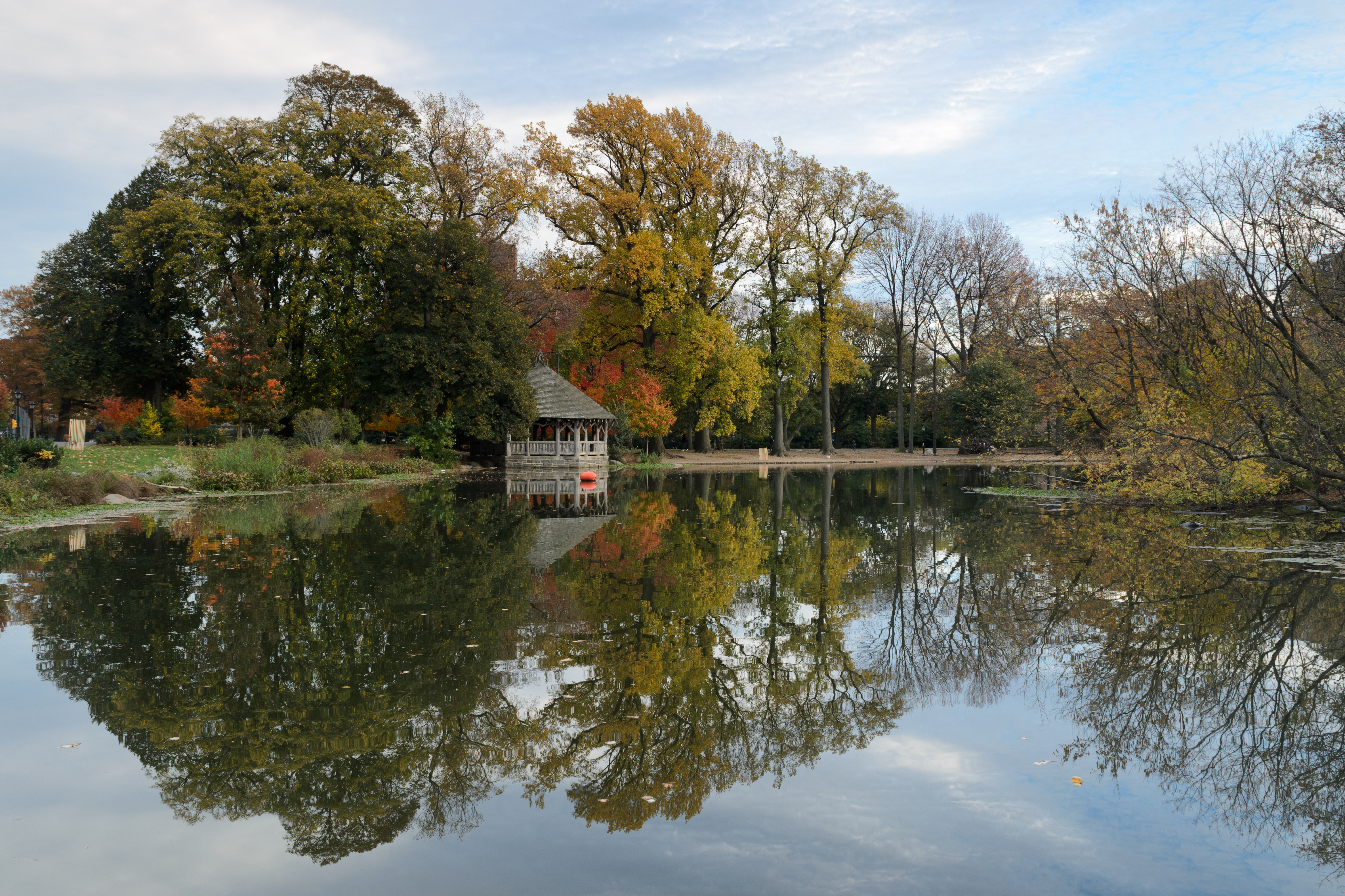 Prospect Park Dog Beach, Brooklyn