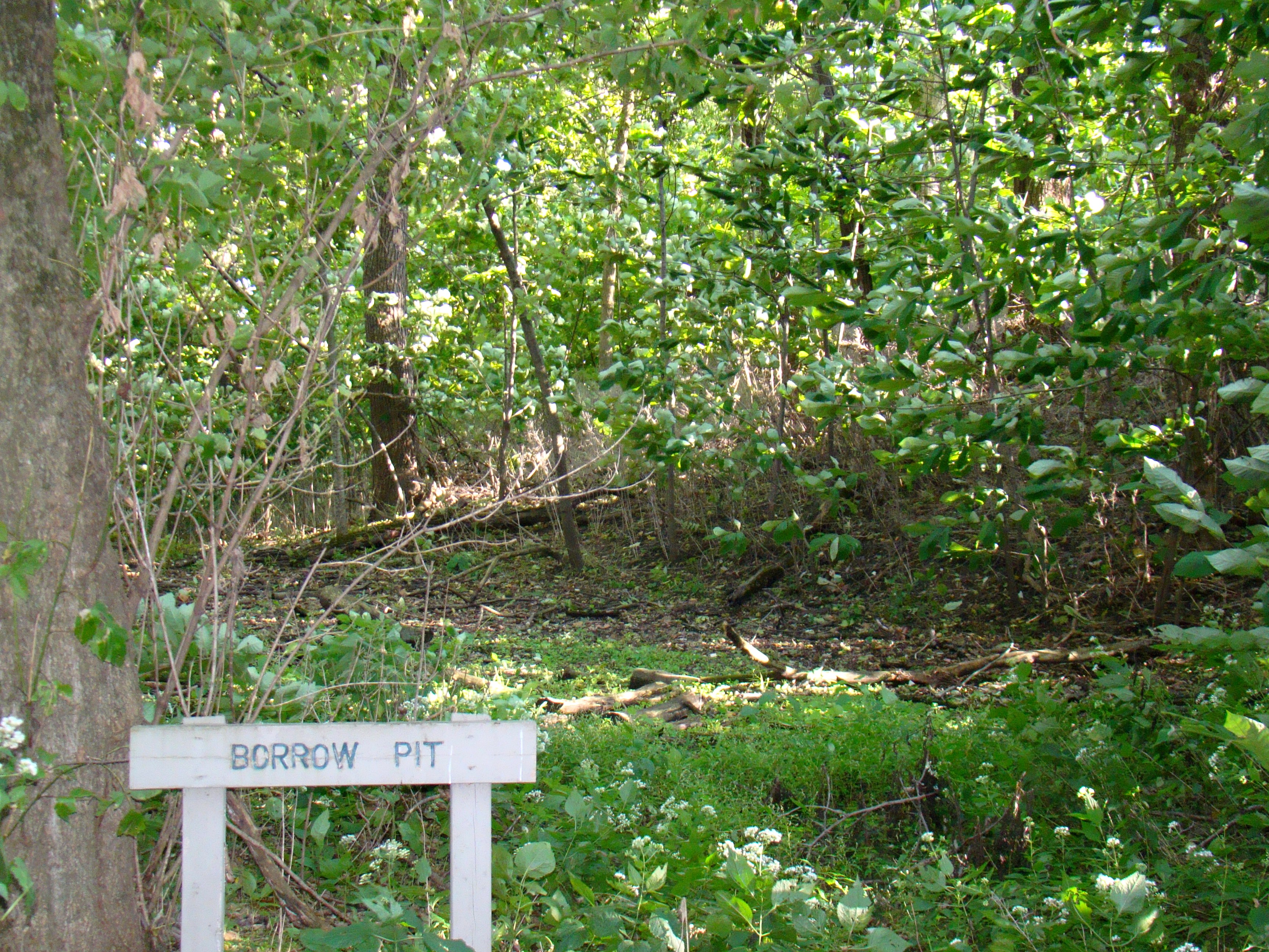 Shawnee Lookout