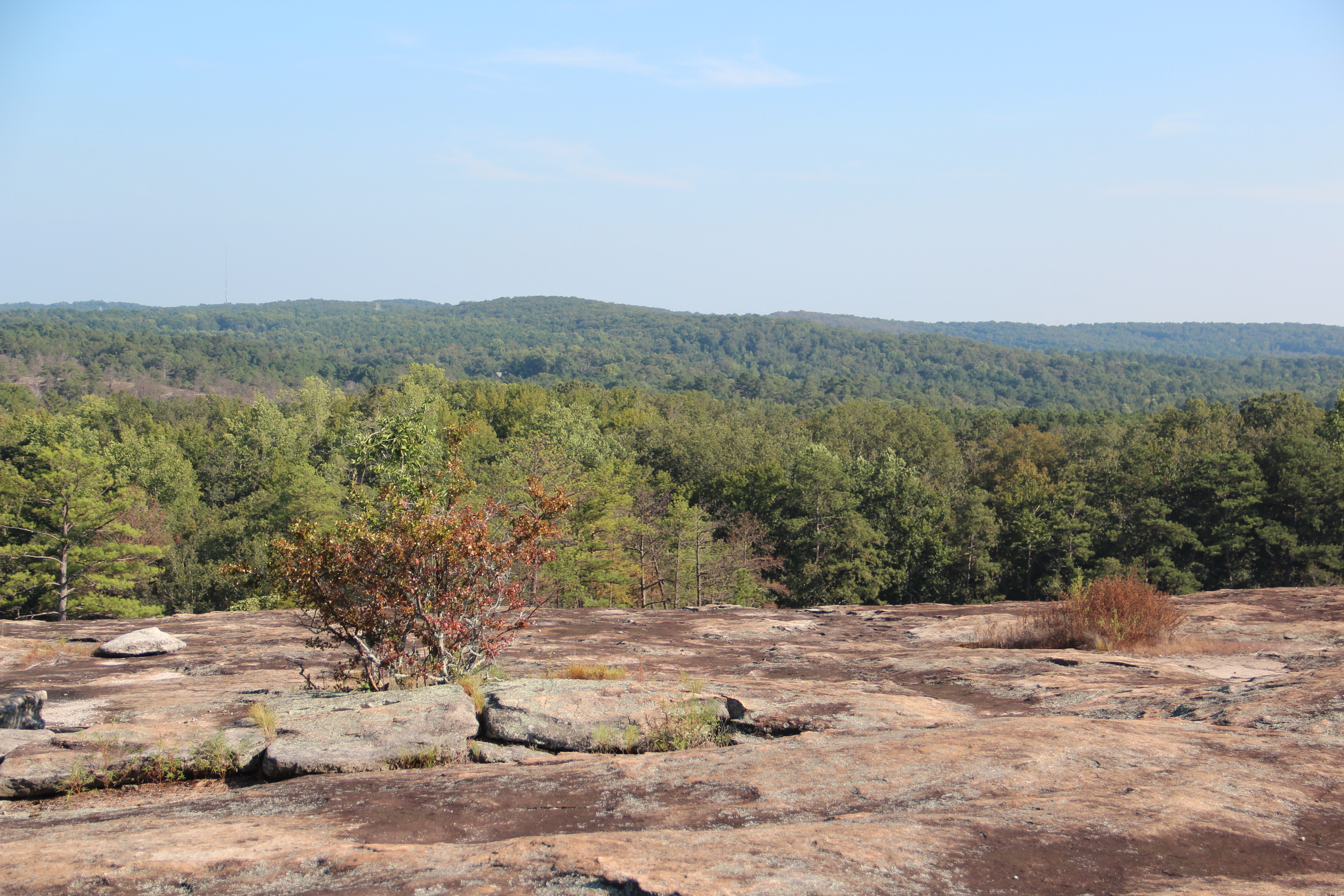 Arabia Mountain National Heritage Area
