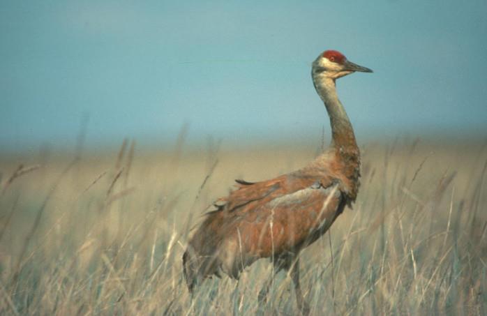 Ottawa National Wildlife Refuge