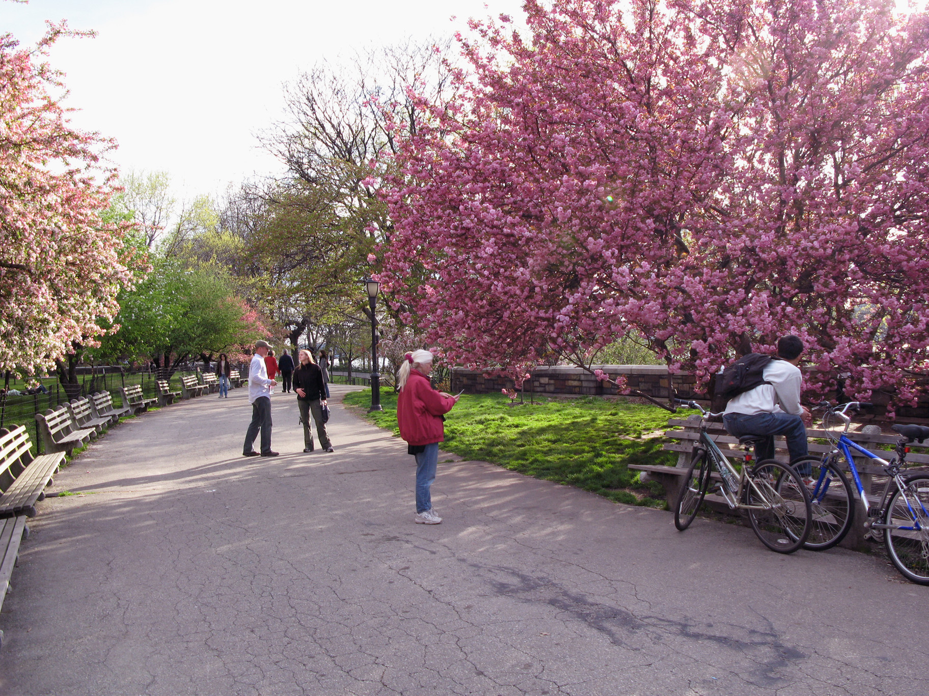 Riverside Park Dog Run (West 72nd)