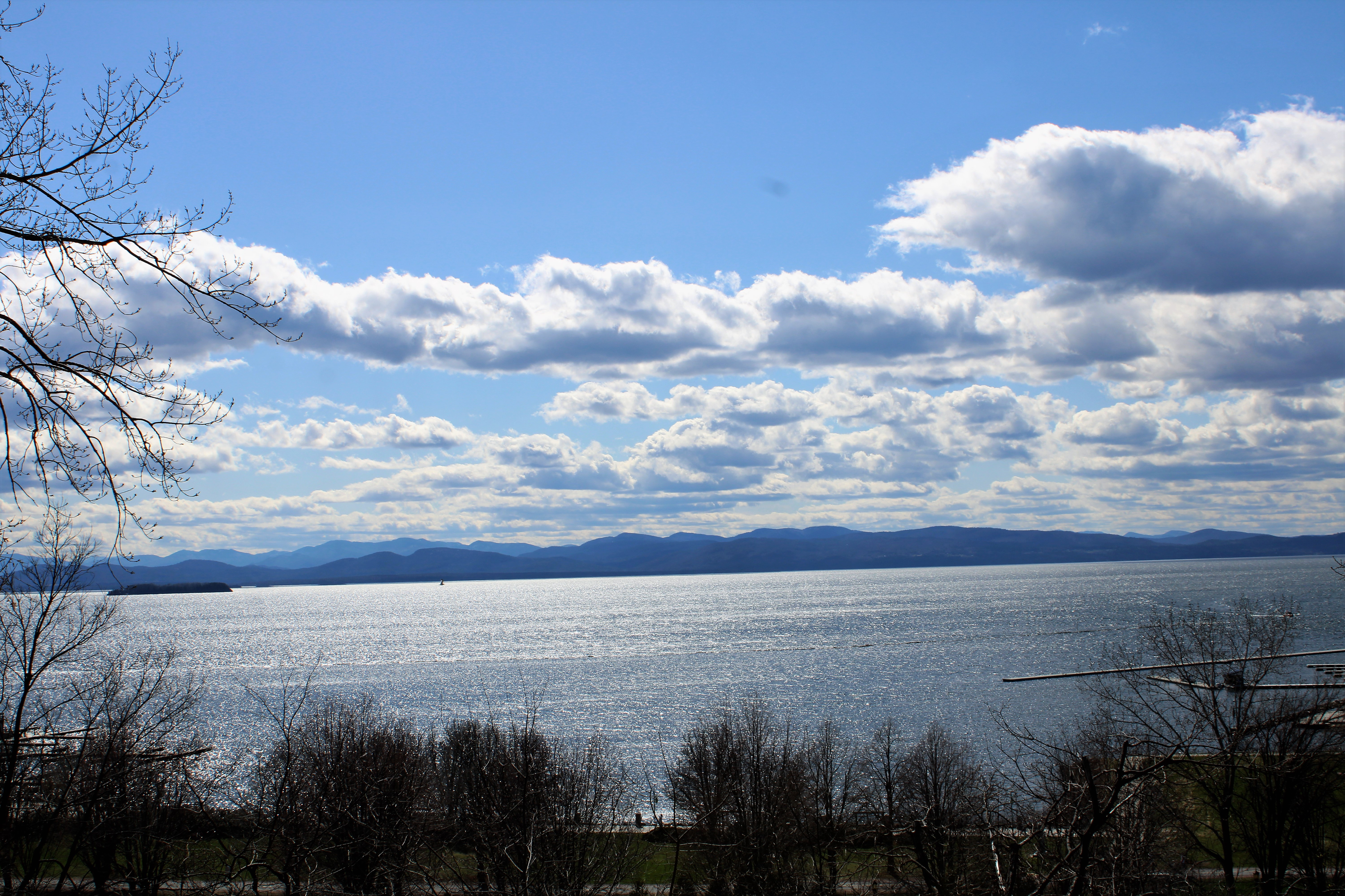 Burlington Waterfront Dog Park