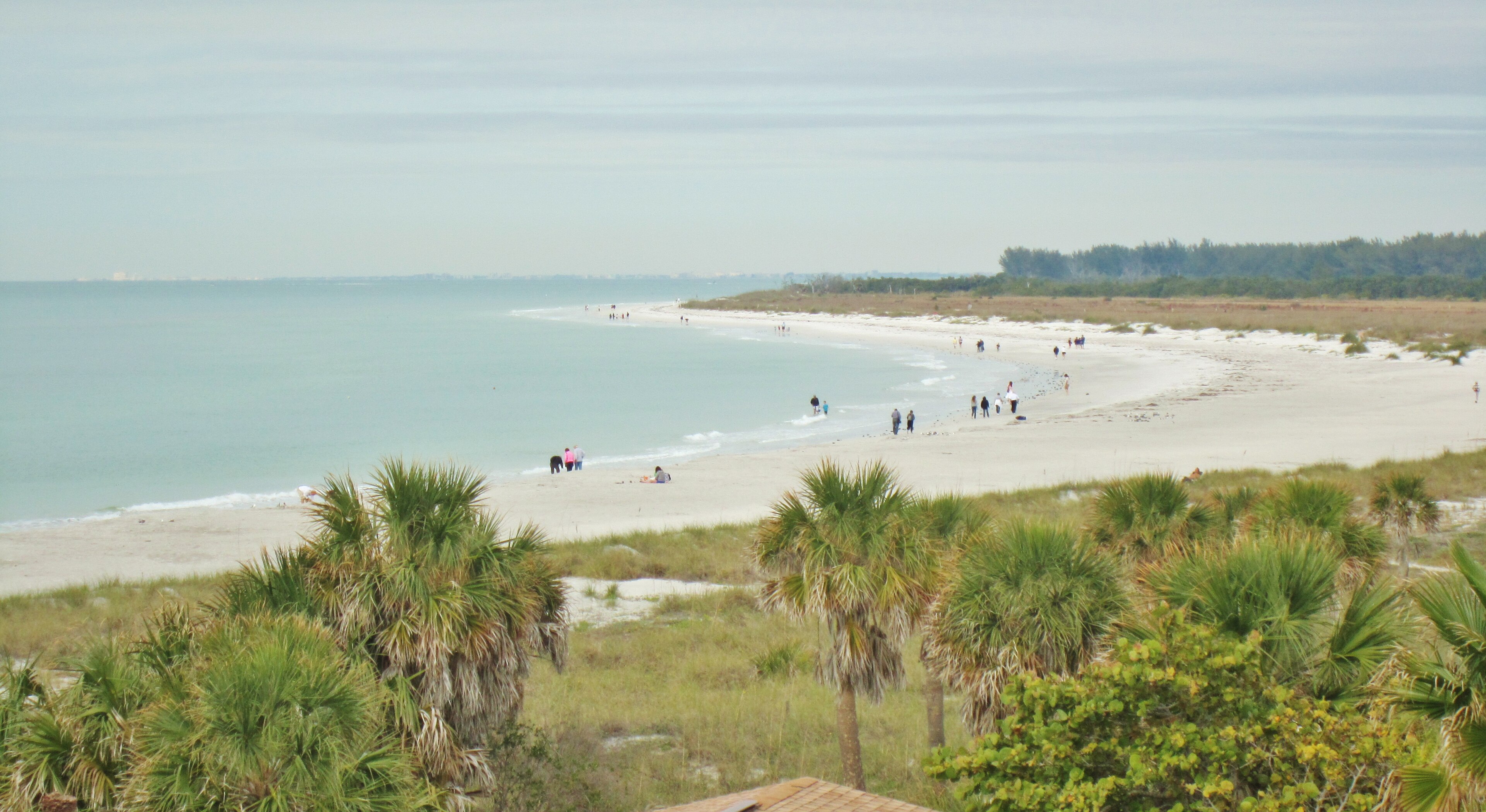 Fort De Soto Park (Paw Playground)