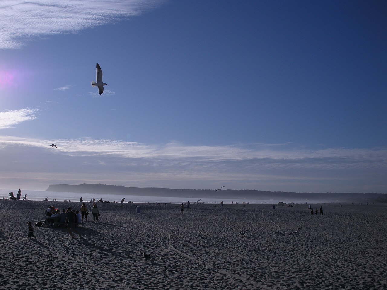 Coronado Dog Beach