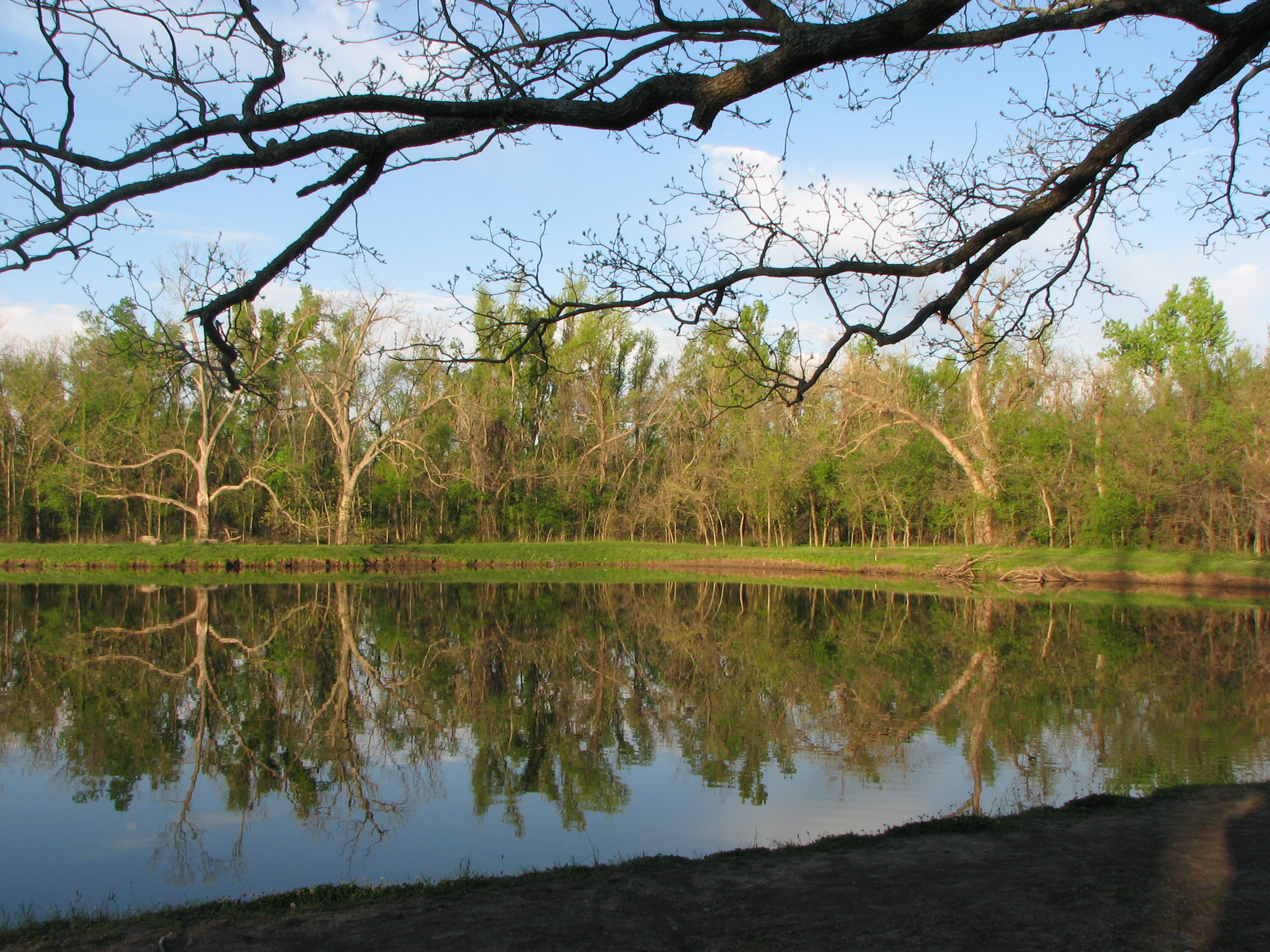 Mohawk Park Dog Park