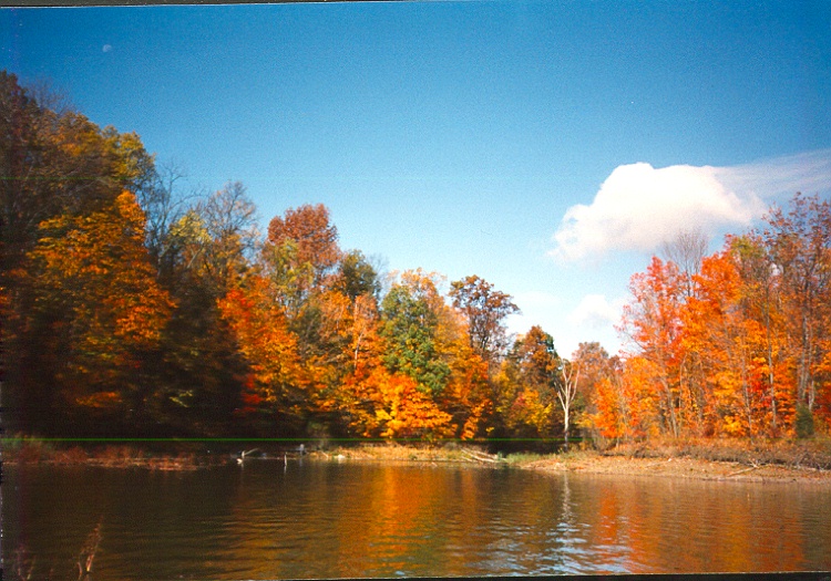 Alum Creek Dog Park