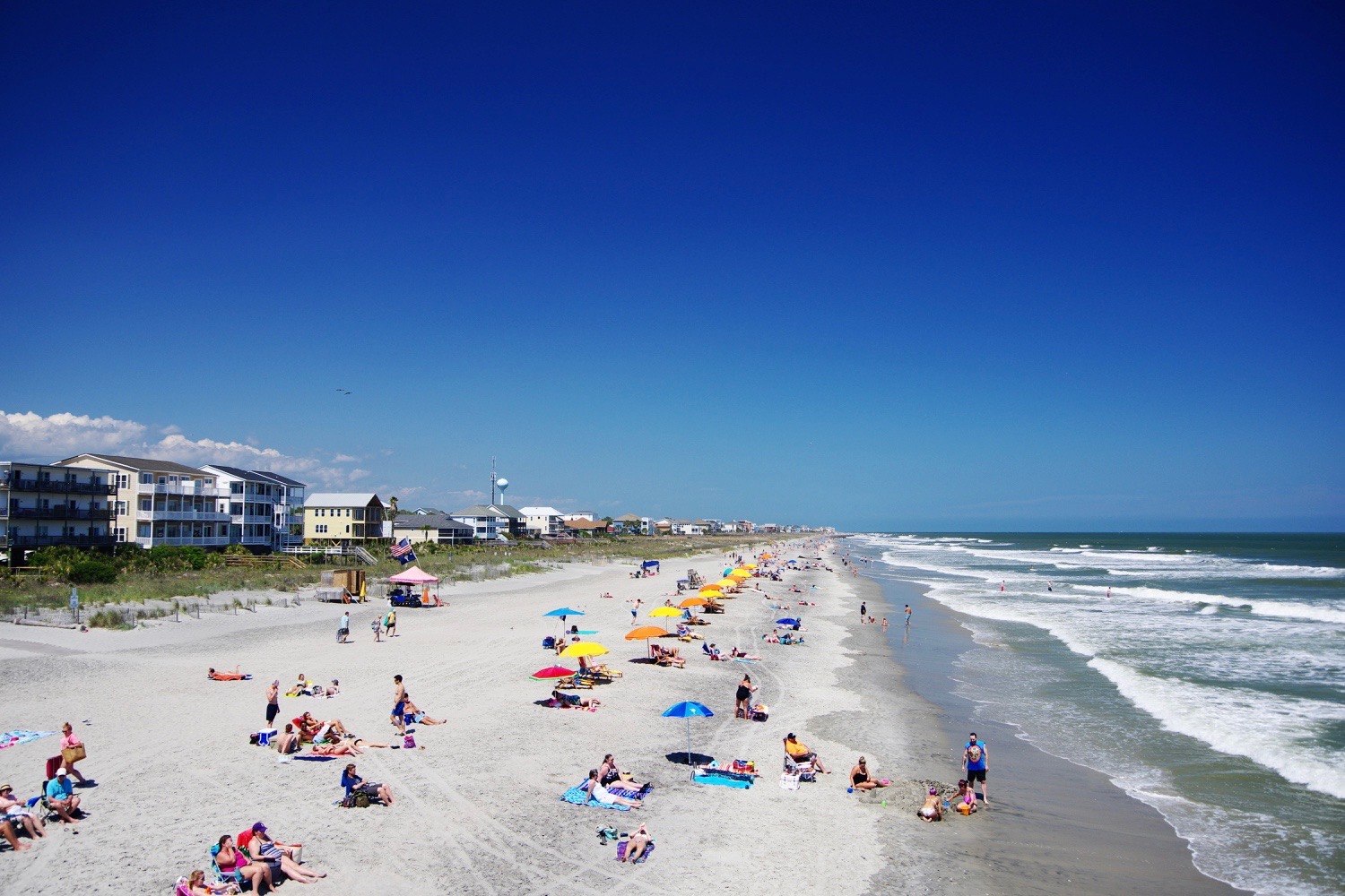 Folly Beach Pet-Friendly Beach