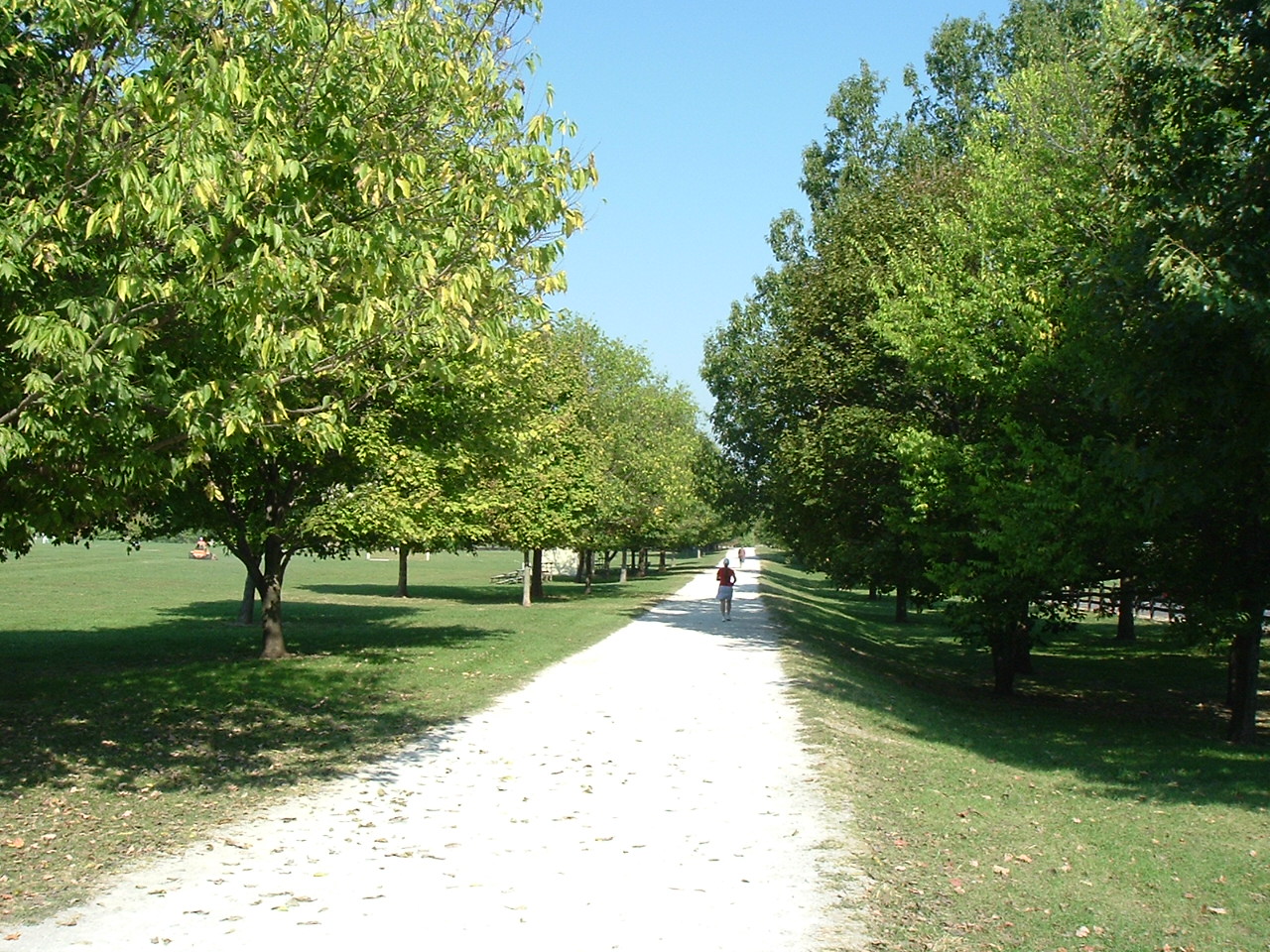 E.P. 'Tom' Sawyer State Park Dog Run